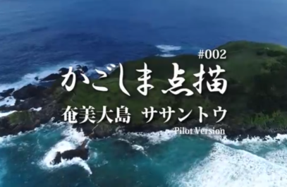 かごしま点描　奄美大島　ササントウ