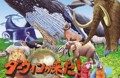 NHK 総合「ダーウィンが来た! ～湾岸を大捜索！大阪生きもの調査隊～」ドローン空撮